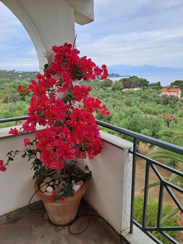 Villa Mariana Koróni Buitenkant foto