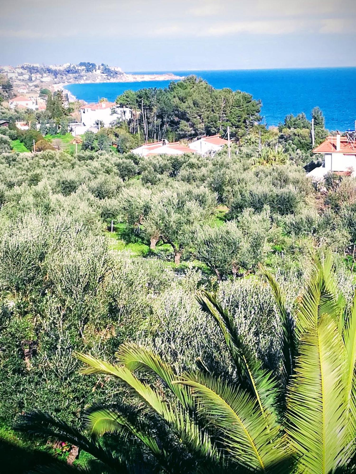 Villa Mariana Koróni Buitenkant foto