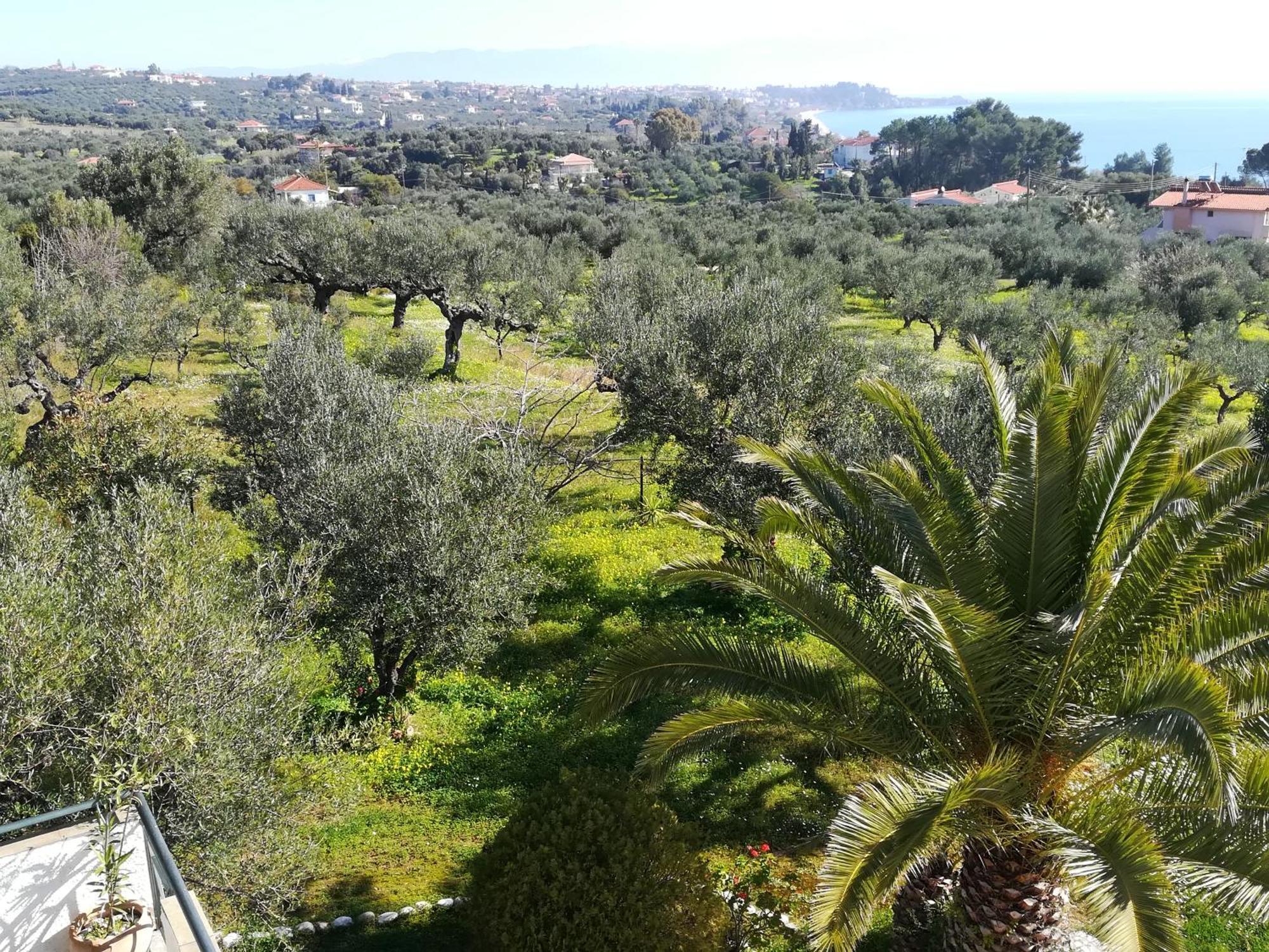 Villa Mariana Koróni Buitenkant foto